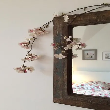 Eschebach - Apartment *